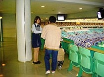 ナゴヤドームのお仕事 株式会社 スポーツ ティーチング クラブ