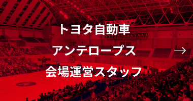 トヨタ自動車アンテロープス